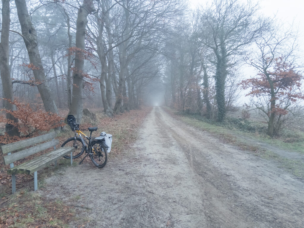Nebeliger Weg am Waldrand am frühen Morgen